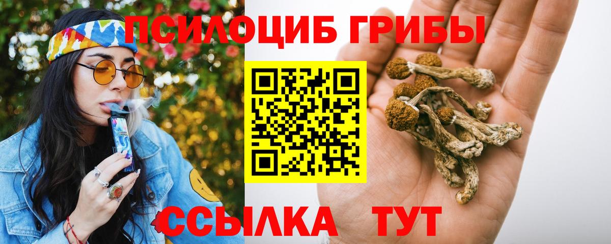 Сарапул  Псилоцибиновые грибы GOLDEN TEACHER  Вход с VPN 